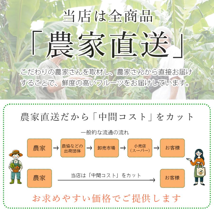 小梅 青梅 南高梅 無農薬 梅 5kg カリカリ梅 梅酒 梅シロップ 梅干し