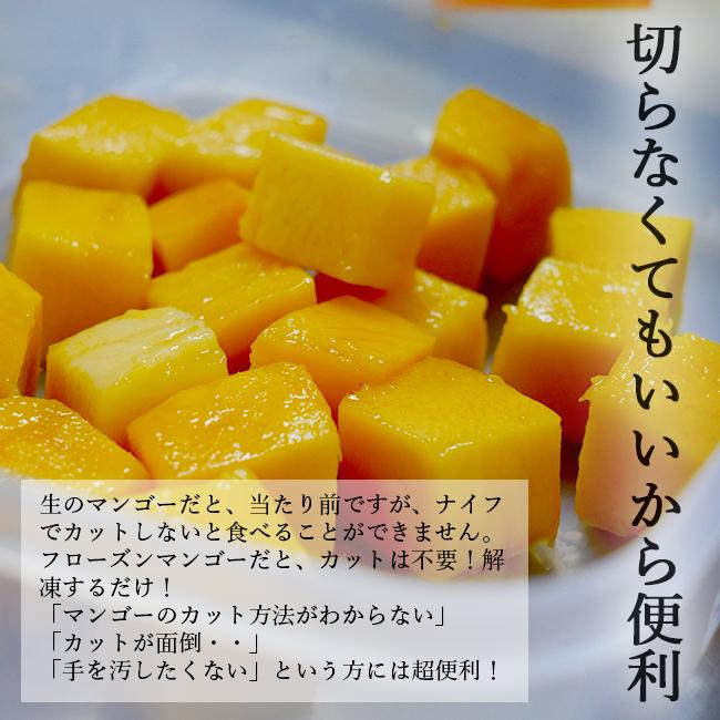 冷凍 マンゴー フローズン 2パック入 国産 沖縄 石垣島｜tokiwafruit｜11