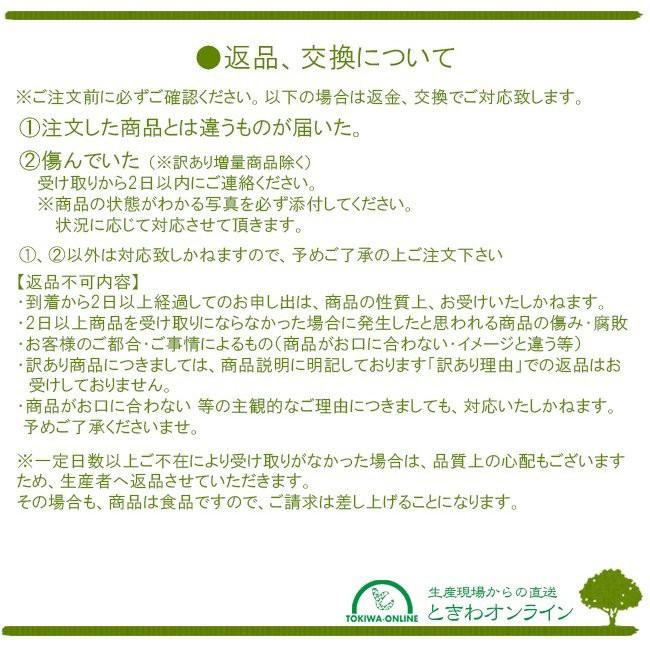 喜水梨  2kg 梨 お中元 果物 ギフト 送料無料 贈答  農園直送 夏の梨 贈り物 なし ナシ 三重県 工藤果樹園｜tokiwafruit｜13