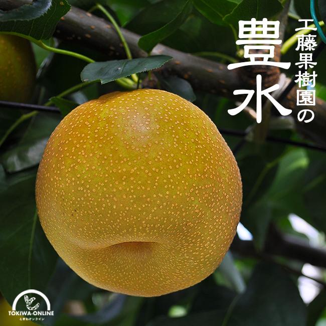 豊水 梨 送料無料 7 5kg 贈答 ギフト 敬老の日 豊水梨 豊水 梨 和梨 なし ナシ 果物 くだもの 三重県 工藤果樹園 Kudo Hosui75kg 果物のときわオンライン 通販 Yahoo ショッピング