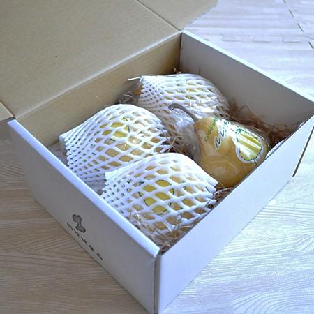 ルレクチェ 洋梨 送料無料 1.5kg ギフト 贈り物 佐渡島産 羽茂産 ルレクチェ 洋ナシ 果物 くだもの 贈答用 農園直送 産地直送