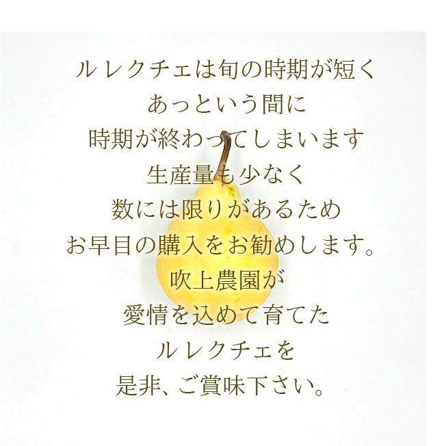 ルレクチェ 洋梨 送料無料 1.5kg ギフト 贈り物 佐渡島産 羽茂産 ルレクチェ 洋ナシ 果物 くだもの 贈答用 農園直送 産地直送