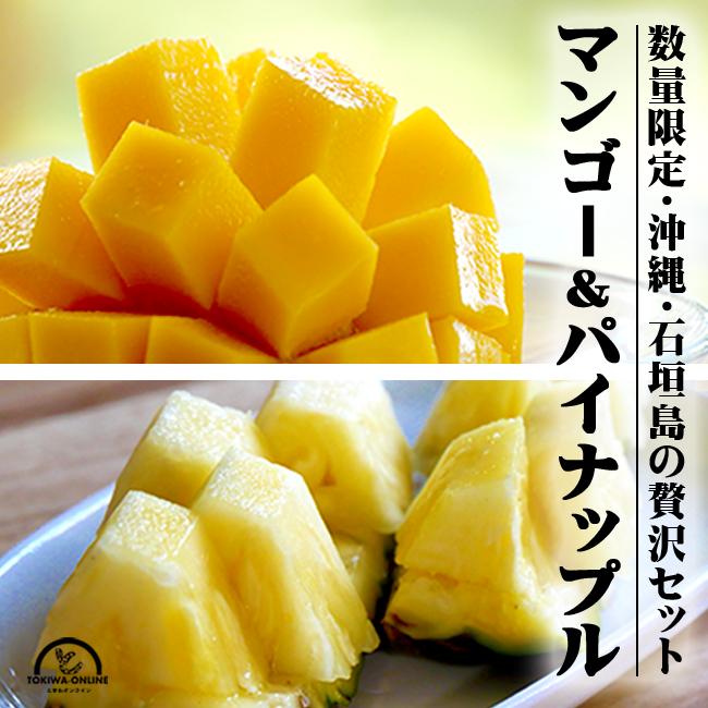 沖縄県産　石垣島　島パイン・ご贈答用マンゴー　詰め合わせ約5キロ　送料無料 mango-pine_02.jpg