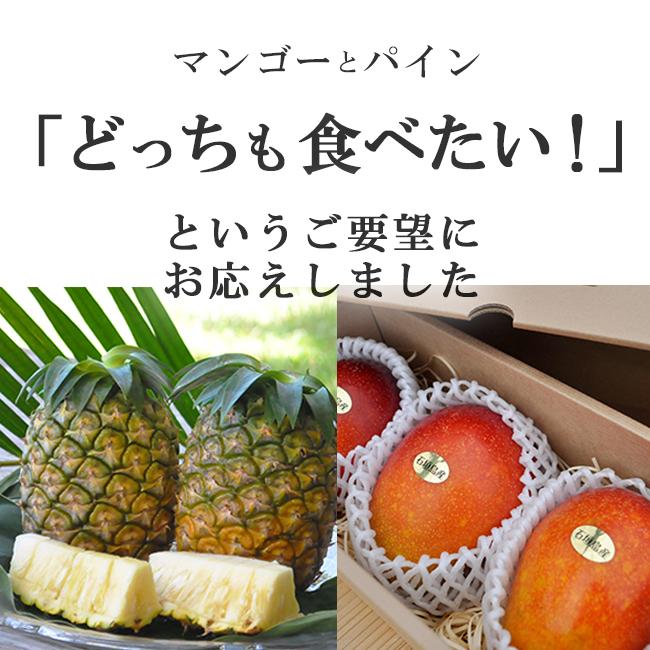 マンゴー パイナップル セット ギフト お中元 贈答 特秀 送料