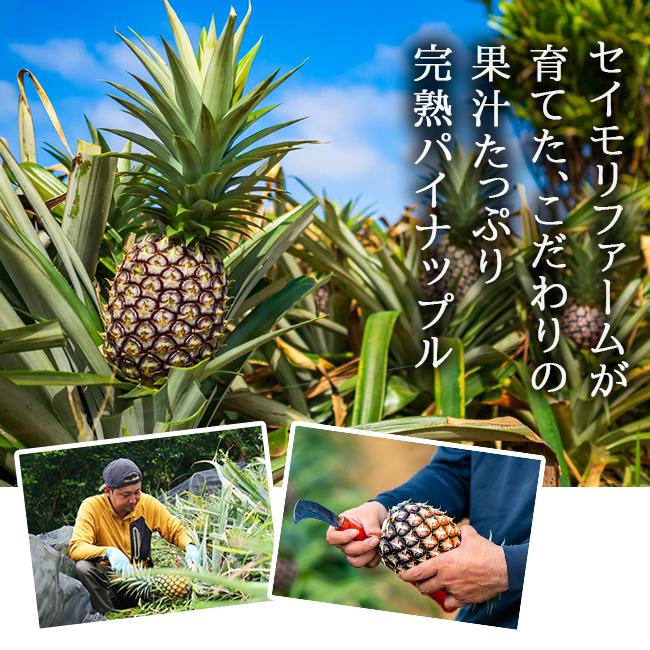 贈り物マンゴーセット マンゴー パイナップル セット ギフト お中元 贈答 特秀 送料無料 沖縄