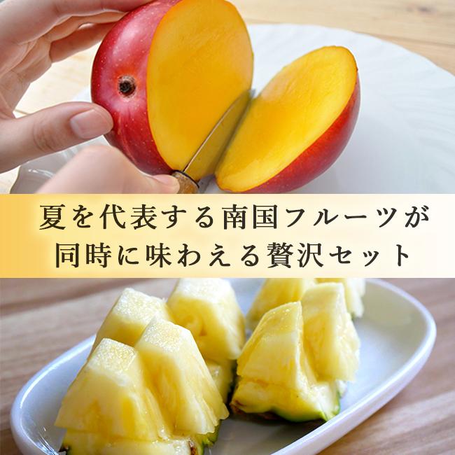 マンゴー パイナップル セット ギフト お中元 贈答 特秀 送料無料 沖縄