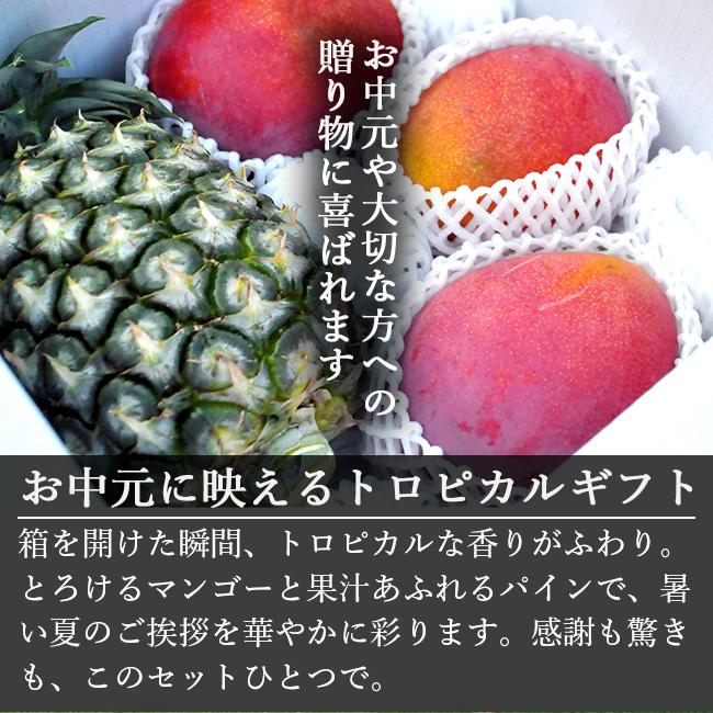 ま～ぽん　石垣島パイナップル　宮古島マンゴー　各6　計12食分 新商品】西表島産パイナップルと宮古島産マンゴーのトロピカルタルト