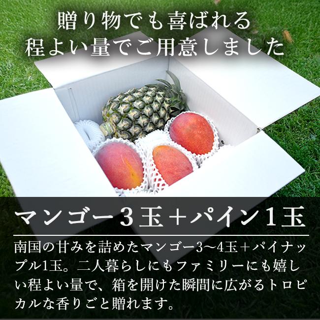 【宮古島マンゴー】【石垣島パイナップル】各6食分　計12食分セット 宮古島マンゴー】【石垣島パイナップル】各6食分 計12食分セット