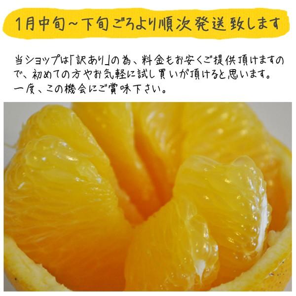 八朔 はっさく 5kg 訳あり 送料無料 和歌山 ノーワックス 農園直送 箱買い ポイント消化 まごころ農園｜tokiwafruit｜11