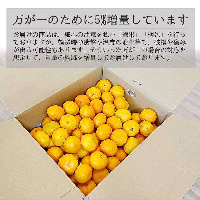 最大62%オフ! 約 2kg ご家庭用 佐賀県産 唐津みかん 前後 L 最大62%オフ! 約 2kg ご家庭用 佐賀県産 唐津みかん 前後 L