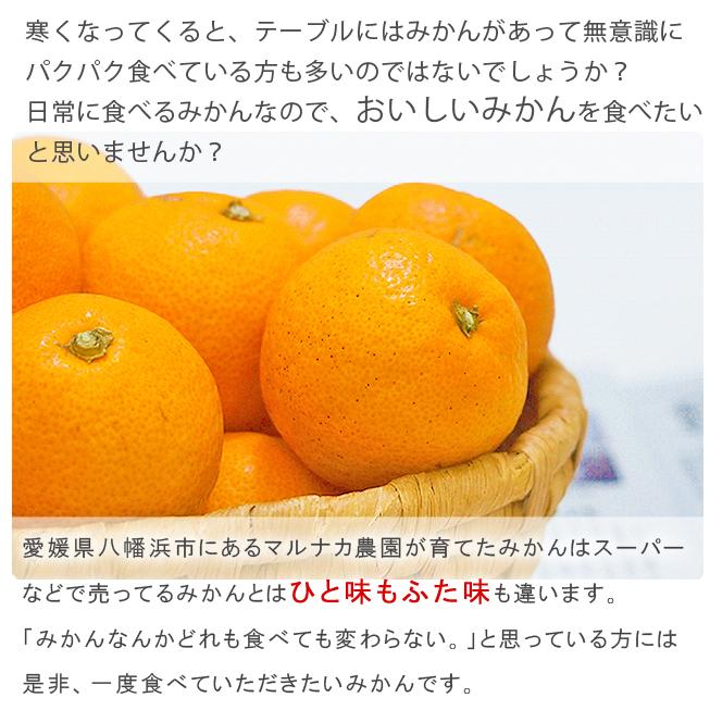 みかん 5kg 送料無料 温州みかん 早生みかん 果物 ノーワックス 農園直送 愛媛 八幡浜産 産地直送 ミカン マルナカ農園 Mrnk Usmkn5k 果物のときわオンライン 通販 Yahoo ショッピング