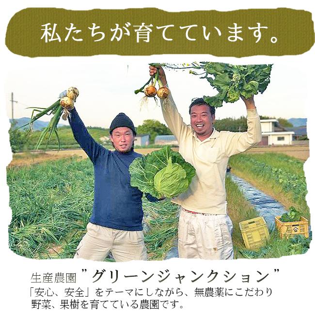 由樹さん専用　新玉ねぎ　農薬不使用　7＋8kg 由樹さん専用 新玉ねぎ 農薬不使用 7＋8kg 由樹さん専用 新
