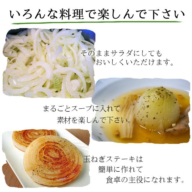新玉ねぎ　農薬不使用　15kg 新玉ねぎ15Kg (農薬 化学肥料 不使用) (税込) | Hampi Farm