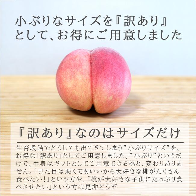 桃 訳あり 5kg あかつき なつおとめ 白根白桃 まさひめ 新潟 果物 お取り寄せ 通販 農家直送｜tokiwafruit｜09