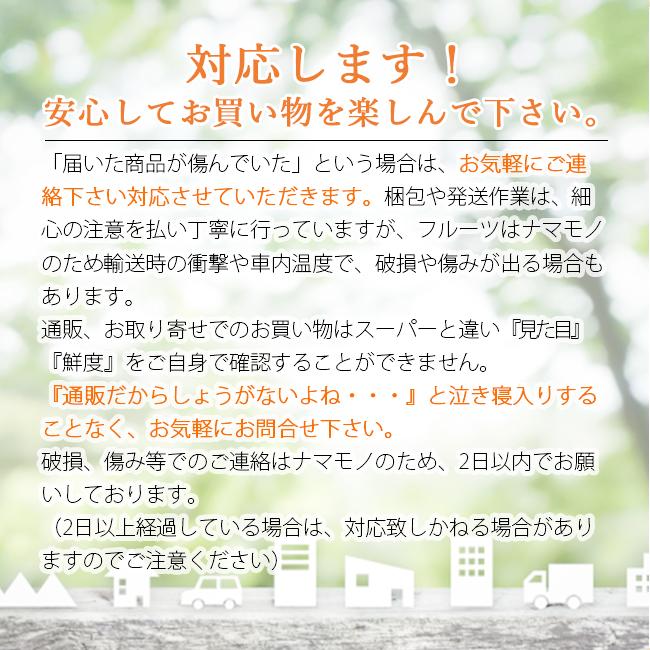 桃 訳あり 5kg あかつき なつおとめ 白根白桃 まさひめ 新潟 果物 お取り寄せ 通販 農家直送｜tokiwafruit｜10