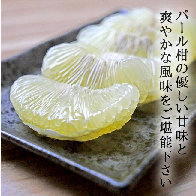 パール柑 5kg 無農薬 自然栽培 淀川農園 熊本 天草 : 農家直送フルーツ