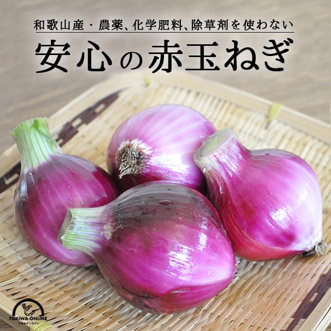 赤玉ねぎ 2kg 無農薬 送料無料 和歌山 グリーンジャンクション : 農家