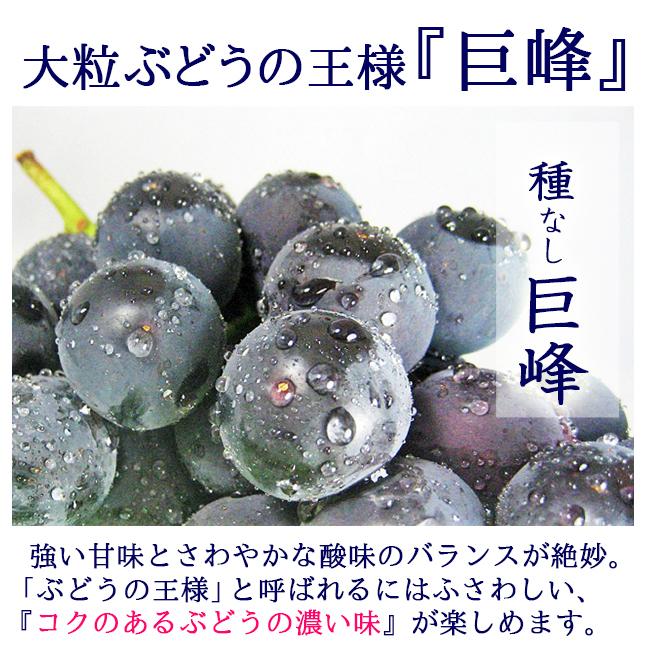 巨峰 種無し 2kg ギフト お盆 お供え 山梨 果物 贈答 進物 産地