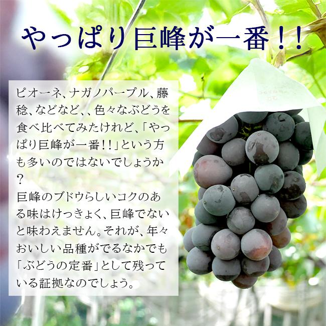 ちえぽー   巨峰（種無し）2キロ×2箱　山梨県産　しげちゃん農園 Amazon.co.jp: 山梨県産 匠の葡萄 種なし巨峰 2房入り 約800g