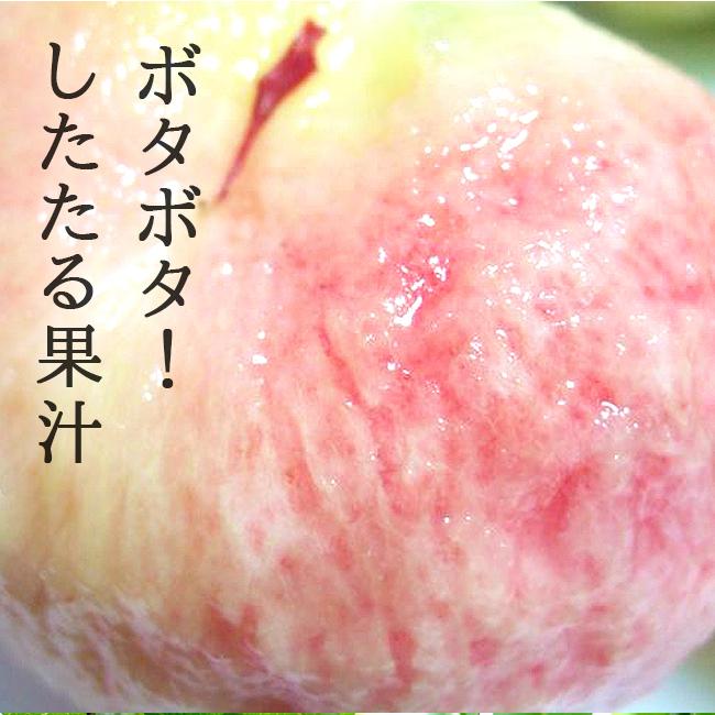 お中元 桃 アルプス美人 なつっこ 2kg 山梨 ギフト 産直 産地直送 送料