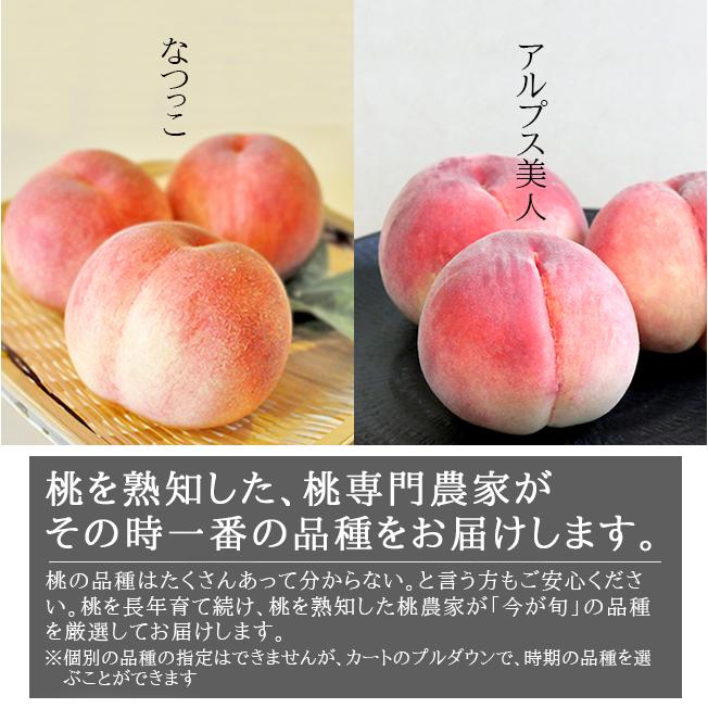 お中元 桃 アルプス美人 なつっこ 2kg 山梨 ギフト 産直 産地