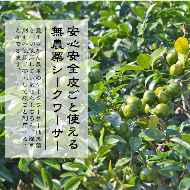 無農薬シークワーサー 10kg tokiwafruit_sikuwasa-1k