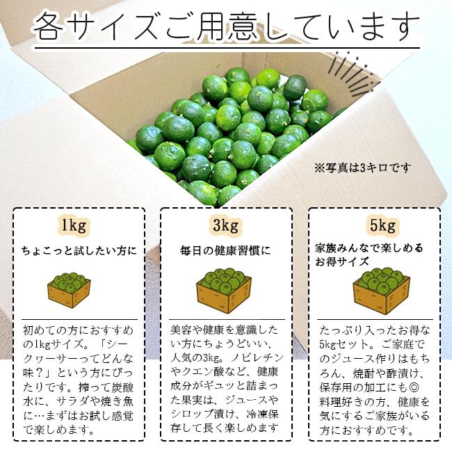 シークワーサー 1kg 無農薬 果物 沖縄産 農薬不使用 除草剤不