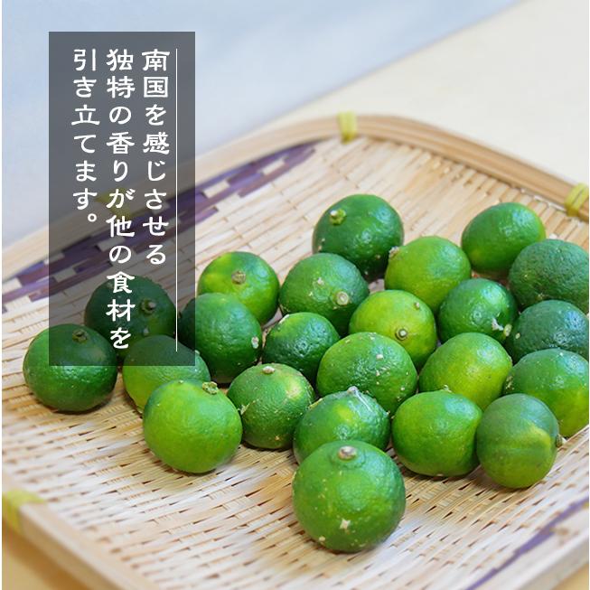 沖縄県産種なしシークヮーサー5kg 沖縄県産 フルーツ 青切りシークワーサー 種無