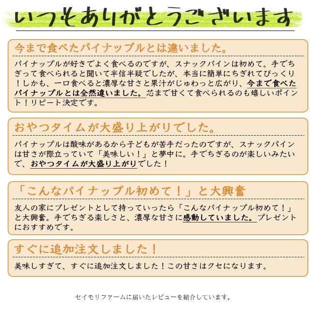 パイナップル スナックパイン ボゴールパイン 沖縄 石垣島 国産 パイナップル スナックパイン ボゴールパイン 沖縄 石垣島 国産