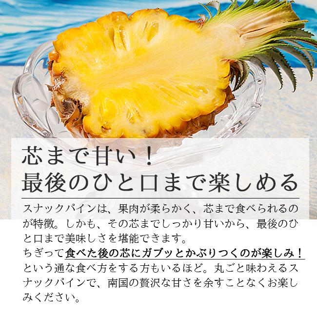 パイナップル スナックパイン ボゴールパイン 沖縄 石垣島 国産 パイナップル スナックパイン ボゴールパイン 沖縄 石垣島 国産