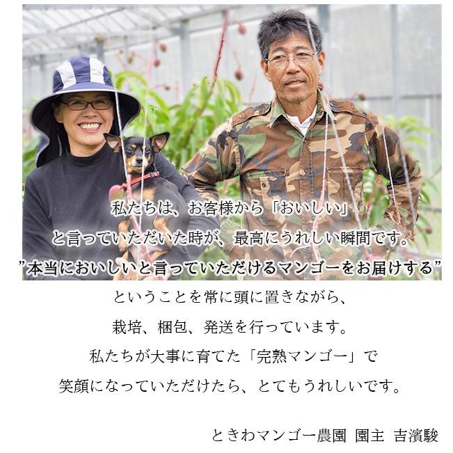 沖縄　無農薬マンゴー　3.2キロ item_20240611_013024_185_M.jpg