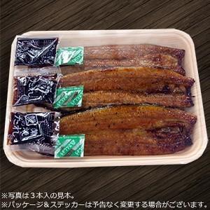うなぎ蒲焼き 4本セット 鰻|tokiwashouten|02