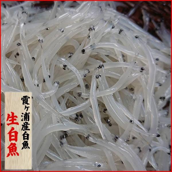 生白魚　期間限定商品！！ | 