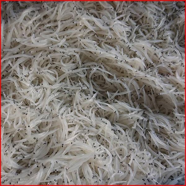 生白魚　期間限定商品！！ |  | 03