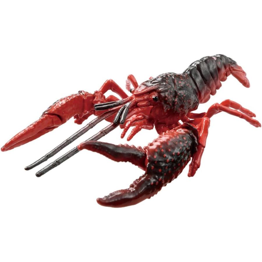 AMEZARI さらばあめりかんザリガニ CD 新品未使用 2025年最新】amezariの人気アイテム - メルカリ