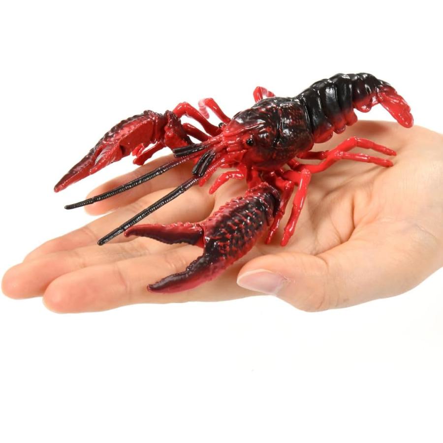 ザリガニページです。 自由研究242 エヴァンゲリオン編 アメリカザリガニ 2号機仕様