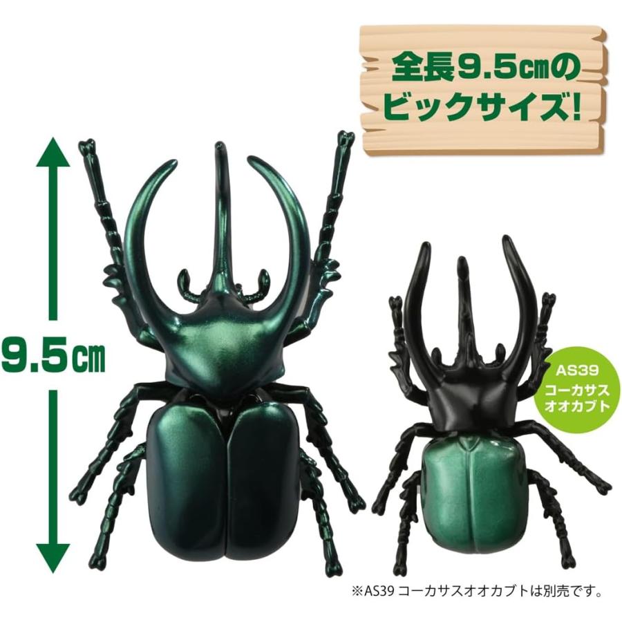 謎のオオカブト WD】《アトラスオオカブト スマトラ島産 83mm ペア》 | KPW公式