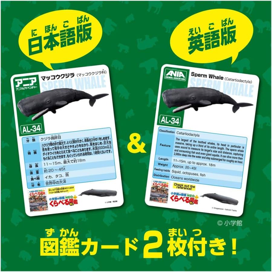 アニア AL-34 マッコウクジラ (水に浮くVer.) : おもちゃのトキワ屋