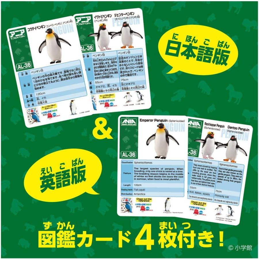 ペンギン　第二シリーズから第五シリーズ アニア AL-36 ペンギン (水に浮くVer.) : おもちゃのトキワ屋 - 通販