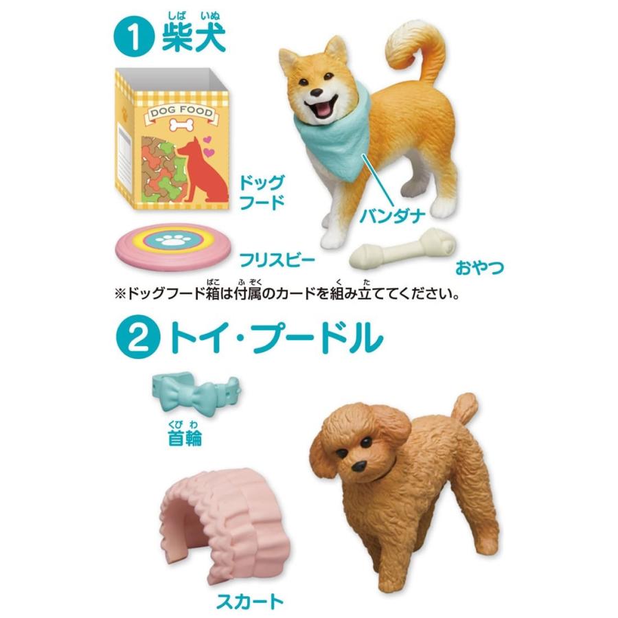 タカラトミー（TAKARA TOMY） アニアフレンズ いぬDP-BOX 12入り