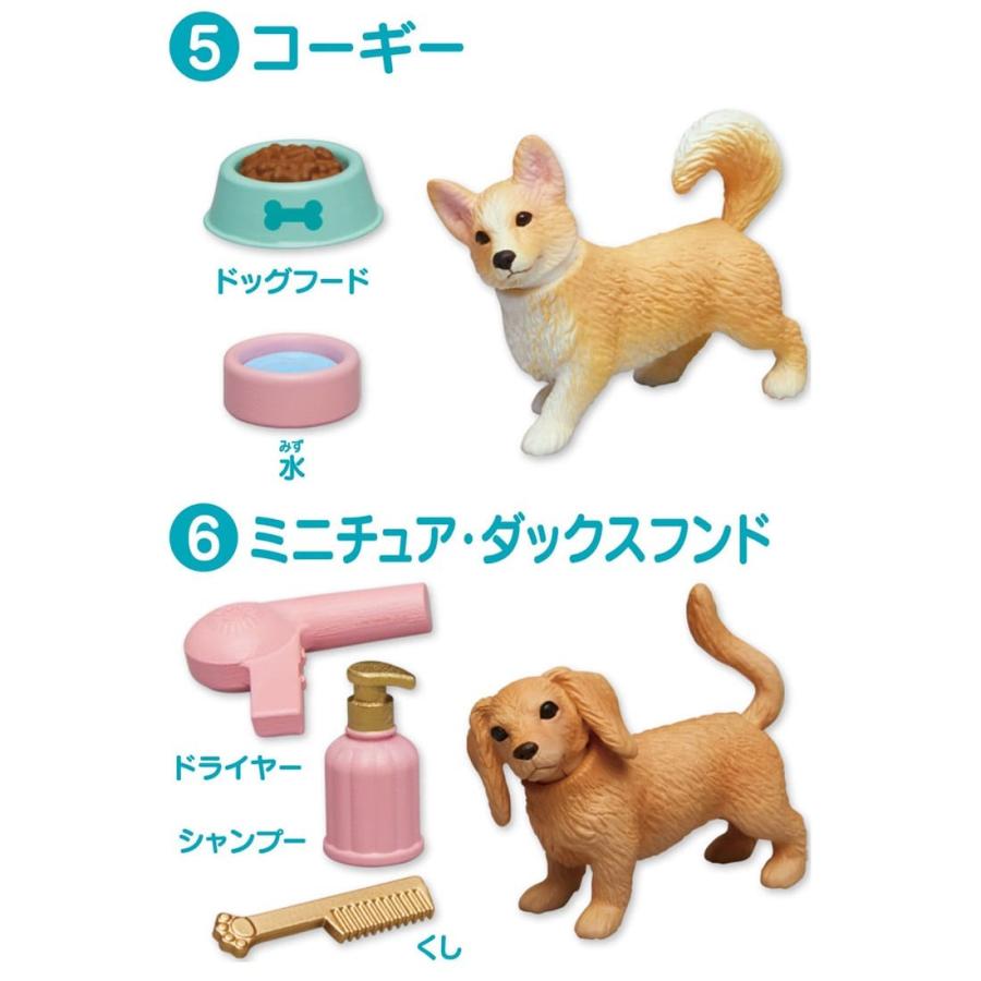 タカラトミー（TAKARA TOMY） アニアフレンズ いぬDP-BOX 12入り