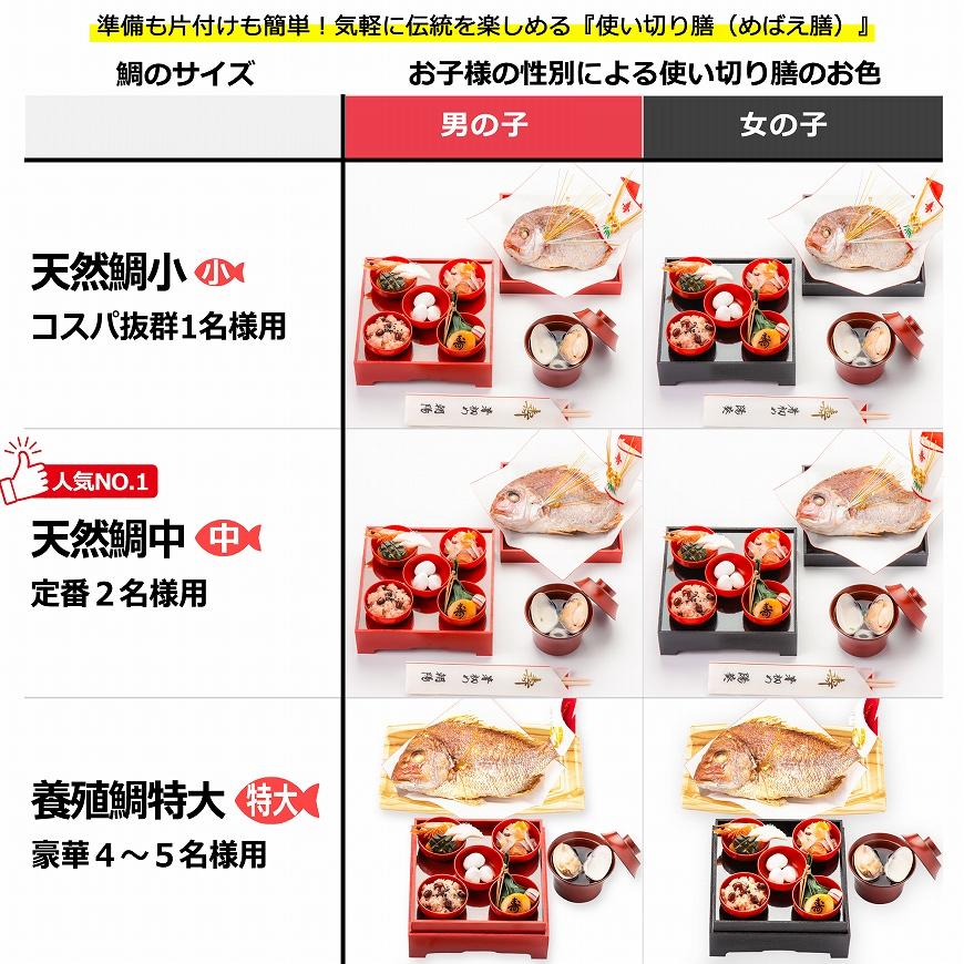 ☆オーダー受付中☆お食い初めセット☆百日祝い☆ダイカット☆クラフト