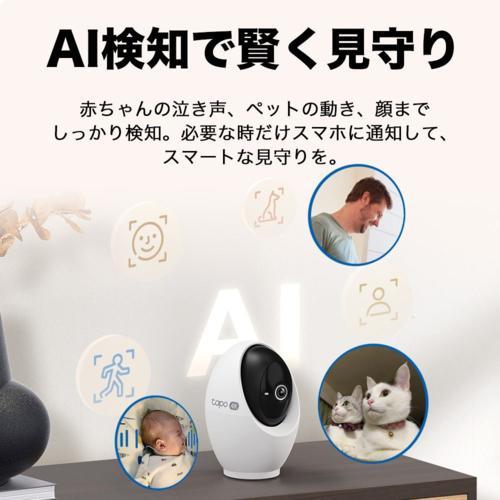 TP-Link(ティーピーリンク) Tapo C260 4K パンチルトスマートAI Wi-Fi
