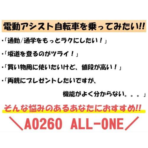 21テクノロジー(21Technology) AO260(マットブラック) 電動アシスト自転車 折りたたみ可 26インチ｜tokka｜05