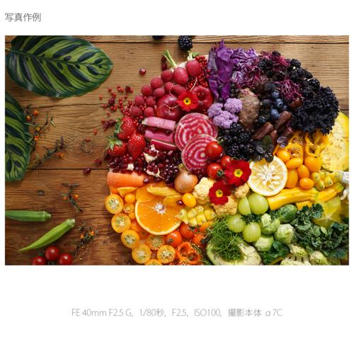 ソニー(SONY) FE 40mm F2.5 G SEL40F25G Eマウント用 フルサイズ 単焦点レンズ