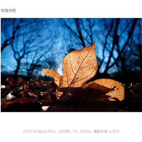 ソニー(SONY) FE PZ 16-35mm F4 G SELP1635G Eマウント用 フルサイズ ズームレンズ_4