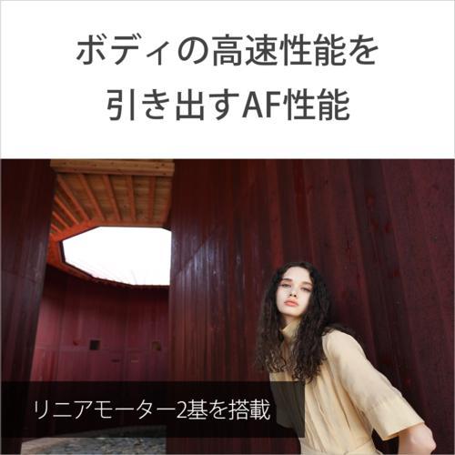 ソニー(SONY) FE 24-50mm F2.8 G SEL2450G Eマウント用 フルサイズ ズームレンズ