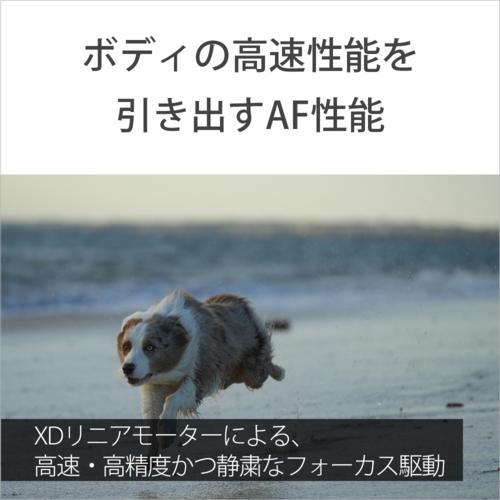 ソニー(SONY) FE 70-200mm F4 Macro G OSS II SEL70200G2 Eマウント用 フルサイズ ズームレンズ_4