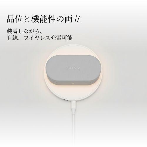 ソニー(SONY) HAC-1000XM6CB ブラック WF-1000XM6専用ケースカバー