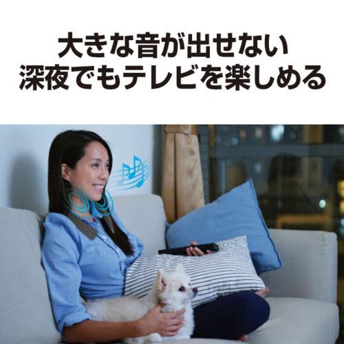 Panasonic パナソニック(Panasonic) SC-WN10-K(ブラック